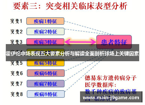 霍伊伦中场表现五大要素分析与解读全面剖析球场上关键因素