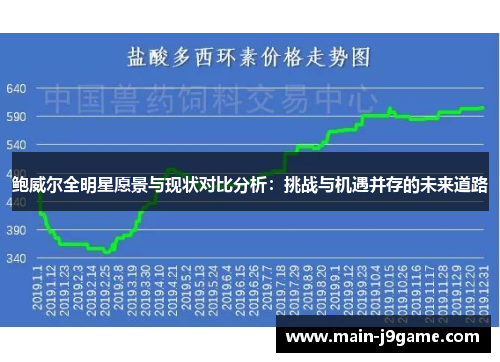 鲍威尔全明星愿景与现状对比分析：挑战与机遇并存的未来道路